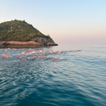 Partenza
