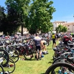 Bardolino1